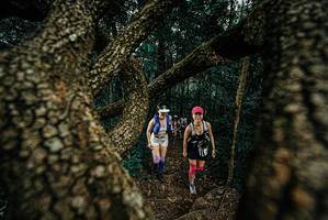 BIB: 
                            <button type="button" onclick="openModal(25697504)" class="btn btn-primary btn-sm float-right btn-popup" data-toggle="modal" data-target=".modal-high-quality">
                        <i class="fas fa-shopping-cart"></i> Add to Cart
                    </button>
                                            <button type="button" onclick="isThisMe(25697504, true)" class="btn btn-success btn-sm float-right btn-popup btn-isme hidden" data-toggle="tooltip" data-placement="bottom" title="นี่คือรูปของคุณใช่ไหม คลิกที่นี่เพื่อเอาเข้าอัลบั้ม">
                        <i class="fas fa-plus"></i> Add to album
                    </button>
                    <button type="button" onclick="isThisMe(25697504, false)" class="btn btn-warning btn-sm float-right btn-popup btn-isnotme hidden">
                        <i class="fas fa-ban"></i> Remove from album
                    </button>